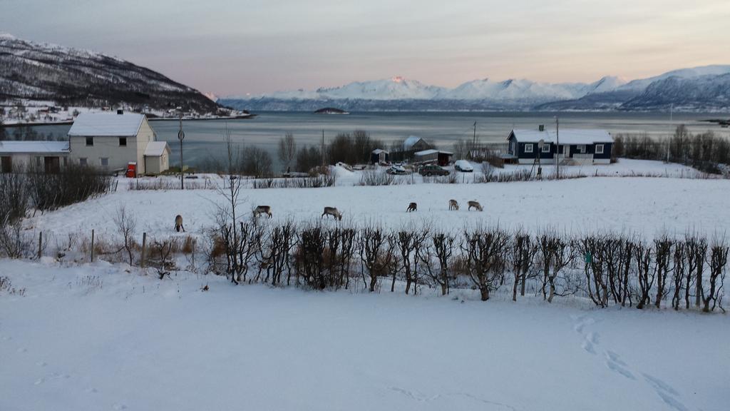 Utsikten Feriehus I Bakkeby Exterior foto
